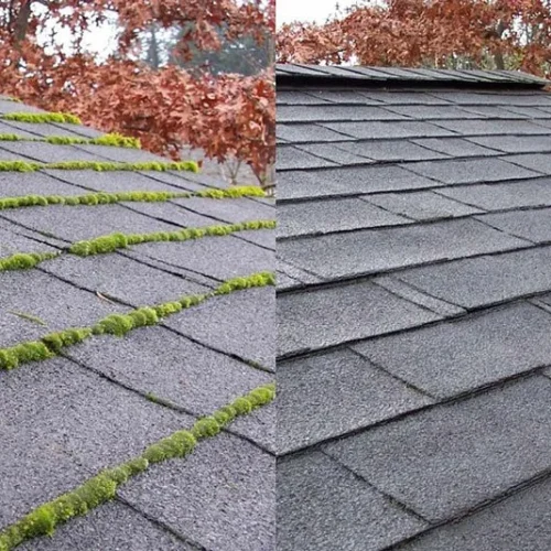 Roof Cleaning in Bergen County, NJ